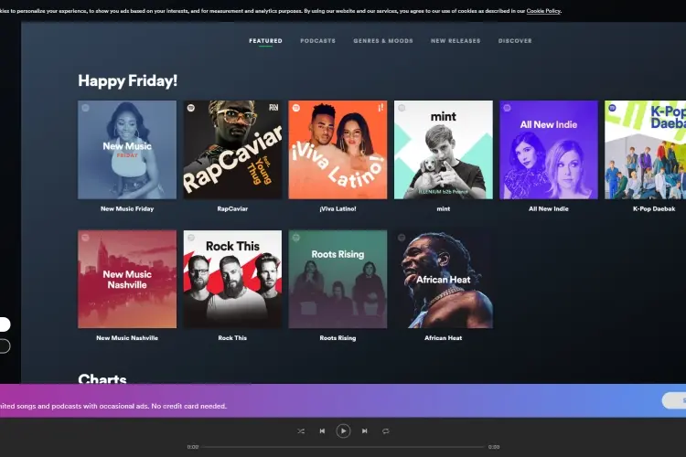 What is      Spotify Web Player 