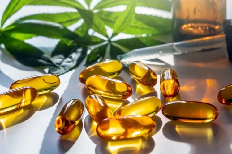 The Importance of Getting Quality CBD Capsules